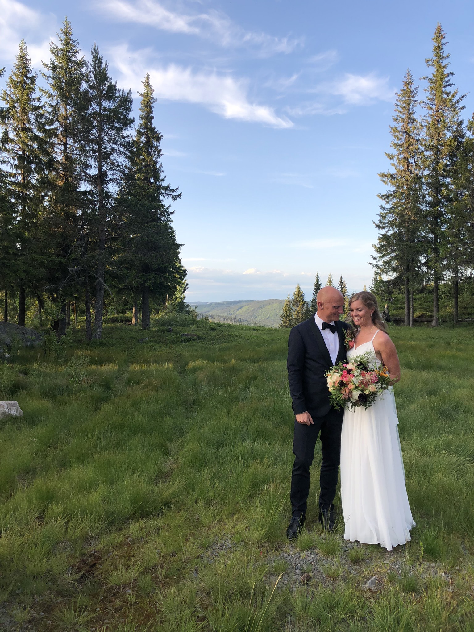 Brudepar i fjellandskap ved Knettsetra